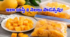 ఈ చిన్న ట్రిక్ తెలిస్తే.. ఏడాది పొడవునా ఫ్రెస్ మామిడి పండ్లు తినొచ్చు.. ఎలాగంటే?
