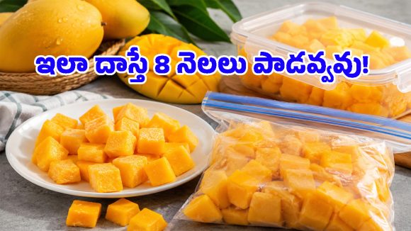 ఈ చిన్న ట్రిక్ తెలిస్తే.. ఏడాది పొడవునా ఫ్రెస్ మామిడి పండ్లు తినొచ్చు.. ఎలాగంటే?