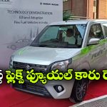 ఇండియన్ ఫస్ట్ ఫ్లెక్స్ ఫ్యూయల్ కారు మోడల్ ఫిక్స్, ప్రత్యేకతలు తెలిస్తే పరేషాన్ కావాల్సిందే!