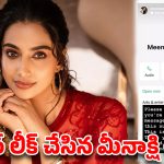 హీరోయిన్ మీనాక్షి చౌదరికి షాక్.. రంగంలోకి దిగిన సైబర్ కేటుగాళ్లు!