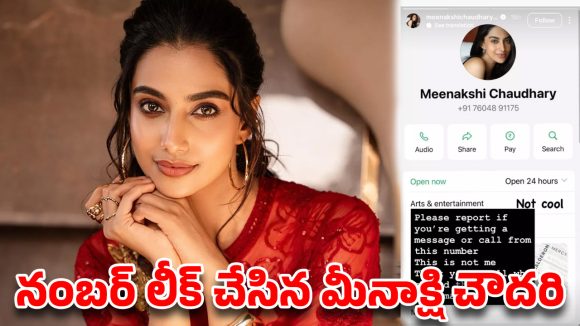 హీరోయిన్ మీనాక్షి చౌదరికి షాక్.. రంగంలోకి దిగిన సైబర్ కేటుగాళ్లు!