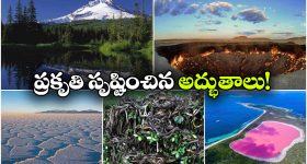 ఫ్యామిలీస్ కూలిపోతున్నాయి.. చూస్తూ ఊరుకోం.. డ్రగ్స్‌పై పవన్ సమరశంఖం!