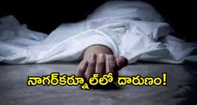 ఇంట్లో వందలాది పాములు.. కరెంట్ బిల్లుకు బయట పడ్డా షాకింగ్ ఘటన