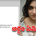 నజ్రియా కొంపముంచిన సెన్సేషనల్ పోస్ట్.. ఆ ఒక్క మాటతో బుక్కయిపోయిందా?