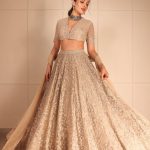 Nehashetty : గార్జీయస్ లుక్ లో రాధిక అదుర్స్.. బాపు బొమ్మలాగే ఉంది..