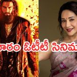This Week OTT Releases : ఈ వారం ఓటీటీలోకి బోలెడు సినిమాలు.. మూవీ లవర్స్ కు పూనకాలే..