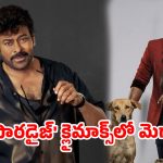 నాని ‘పారడైజ్’ క్లైమాక్స్‌లో మెగాస్టార్ ?.. టాలీవుడ్‌లో సరికొత్త సినిమాటిక్ యూనివర్స్!