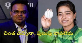 అరాచకం సామీ.. థర్మాకోల్ గోడలతో ఇల్లు.. ఇక లైఫ్ లాంగ్ కూలింగ్ ఫ్రీ!