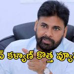 స్థానిక ఎన్నికలపై పవన్ కళ్యాణ్ బిగ్ ప్లాన్.. రంగంలోకి 25 పార్లమెంట్ కమిటీలు!
