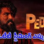 పెద్ది ఓటీటీ లాక్….అప్పుడే డిజిటల్ స్ట్రీమింగ్ పై క్లారిటీ వచ్చేసిందిగా!