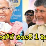 జగన్ ‘యూ-టర్న్’.. చంద్రబాబు ‘సూపర్ సిక్స్’.. పెన్షన్ల పెంపుపై ఎమ్మెల్యే నసీర్ సంచలన వ్యాఖ్యలు!