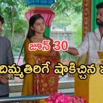 Podarillu Today Episode : బృందావనంకు వెళ్లిన మహా.. చక్రికీ దిమ్మతిరిగే షాక్.. తాయర్ కు స్ట్రాంగ్ మహా వార్నింగ్..