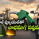 E85- E100 Fuels: E85, E100 ఫ్యూయల్.. వాహనదారులకు కచ్చితంగా ఈ విషయాలు తెలియాల్సిందే!