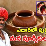 ఫ్రిడ్జ్ అక్కర్లేదు.. పైసా ఖర్చు లేదు.. పాలు, పెరుగు ఎప్పటికీ తాజాగా!
