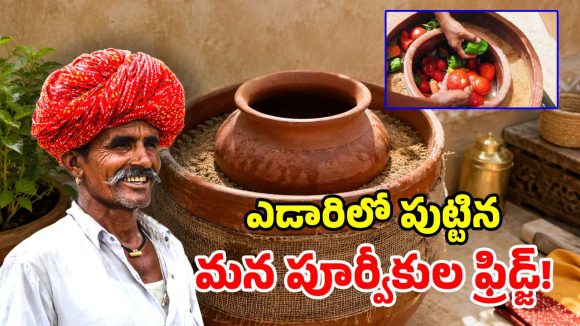 ఫ్రిడ్జ్ అక్కర్లేదు.. పైసా ఖర్చు లేదు.. పాలు, పెరుగు ఎప్పటికీ తాజాగా!