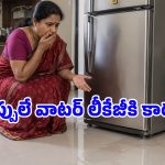 ఫ్రిడ్జ్ నుంచి వాటర్ లీక్ అవ్వడానికి ఈ 4 తప్పులే కారణం.. ఐదు నిమిషాల్లో ఫిక్స్ చేసుకోండిలా!