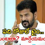 ఎస్‌ఐఆర్ పై సీఎం రేవంత్ రెడ్డి కీలక ఆదేశాలు.. మంత్రులు, ఎమ్మెల్యేలకు 10 రోజుల గడువు!