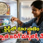 ఫ్రిడ్జ్‌లో రూ.1 నాణెం.. తర్వాత జరిగే బెనిఫిట్స్ చూస్తే.. దిమ్మతిరిగి బొమ్మ కనపడాల్సిందే!