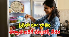 త్వరలో సియెర్రా EV, దీపావళికి సఫారీ EV.. టాటా ప్లాన్ మామూలుగా లేదుగా!
