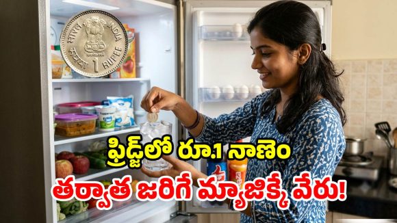 ఫ్రిడ్జ్‌లో రూ.1 నాణెం.. తర్వాత జరిగే బెనిఫిట్స్ చూస్తే.. దిమ్మతిరిగి బొమ్మ కనపడాల్సిందే!