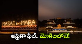 ఫ్రీజర్‌లో ఐస్ పేరుకుపోతోందా? కంప్రెసర్ పేలిపోతుంది జాగ్రత్త !