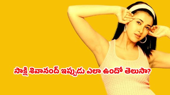 సాక్షి శివానంద్‌కు ఏమైంది? సినిమాలు వదిలి ఎందుకు పారిపోయింది? ఆ నిర్మాతే కారణమా?