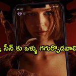 అబ్బాయిలు కన్పిస్తే రెచ్చిపోయి ఆ పాడు పని చేసే మోహినీ పిశాచి