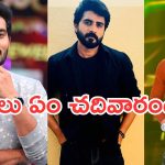 Serials Heros : టీవీ సీరియల్ హీరోలు ఎవరు ఏం చదివారో తెలుసా..?