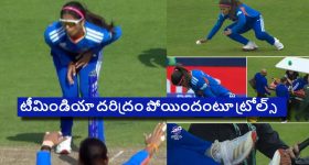 ఇంట్లో సంపద, శుభం కోసం మనీ ప్లాంట్ పెంచుతున్నారా? ఈ మూడు మొక్కలు దాని కంటే బెటర్