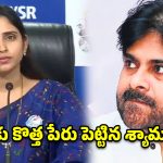పవన్ కళ్యాణ్‌పై యాంకర్ శ్యామల ఘాటు వ్యాఖ్యలు.. ‘పీపీపీ’ అంటూ వ్యంగ్యాస్త్రాలు!