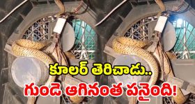 రెండింతల ఫైన్.. కట్టకపోతే జైల్.. ఇవాళ్టి నుంచి అమల్లోకి షాకింగ్ రూల్!