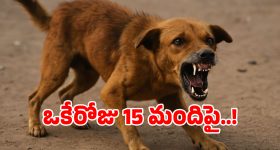 Stray Dog: గద్వాలలో పిచ్చికుక్క వీరవిహారం.. ఒకేరోజు 15 మంది పై దాడి..!