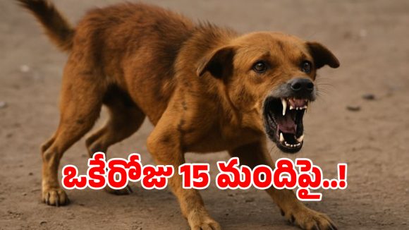 Stray Dog: గద్వాలలో పిచ్చికుక్క వీరవిహారం.. ఒకేరోజు 15 మంది పై దాడి..!