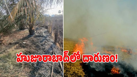 Stubble Burning: రైతు చేసిన చిన్న తప్పుకి.. లక్షల రూపాయల కష్టం నిమిషాల్లో బుగ్గిపాలు..!