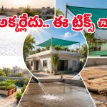 కేవలం రూ.1000 లోపు ఖర్చుతో ఇంటిని సూపర్ కూల్‌గా మార్చే సీక్రెట్స్ ఇవే!