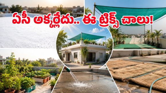 కేవలం రూ.1000 లోపు ఖర్చుతో ఇంటిని సూపర్ కూల్‌గా మార్చే సీక్రెట్స్ ఇవే!
