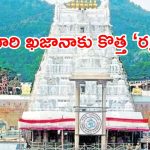 అయోధ్య వివాదం ఎఫెక్ట్? టీటీడీ అకౌంటింగ్ వ్యవహారాల్లో ఊహించని మార్పులు!