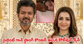 విజయ్‌తో అఫైర్ వార్తలపై నోరు విప్పిన త్రిష..పెట్ డాగ్ ఫొటోతో రూమర్స్‌కు ఎండ్ కార్డ్!