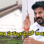 తుంగభద్ర నదీ జలాల వివాదం.. కేంద్రం రంగంలోకి దిగాల్సిందే.. సీఎం రేవంత్ రెడ్డి విజ్ఞప్తి