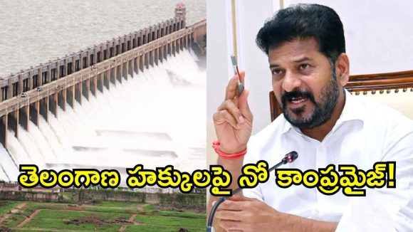 తుంగభద్ర నదీ జలాల వివాదం.. కేంద్రం రంగంలోకి దిగాల్సిందే.. సీఎం రేవంత్ రెడ్డి విజ్ఞప్తి