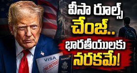 బెస్ట్ ఎల్‌జీ సెమీ ఆటోమేటిక్ వాషింగ్ మెషీన్లు.. ధరలు, ఫీచర్ల పూర్తి వివరాలు