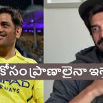 Usman Tariq:  ధోని సాయం చేస్తే, CSK జ‌ట్టుకు ఆడ‌తా