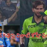 లాహోర్ గ‌డ్డ‌పై విరాట్ కోహ్లీ ప్లకార్డులు…గూస్ బంప్స్ రావాల్సిందే