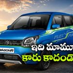 పెట్రోల్‌ తో పాటు ఇథనాల్‌ తోనూ పరుగులు.. కొత్త వాగన్ ఆర్ ఫ్లెక్స్ ఫ్యూయల్‌ ప్రత్యేకతలు ఇవే!
