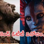 Weekend OTT Movies: వీకెండ్ ఓటీటీల్లోకి సూపర్ హిట్ చిత్రాలు.. ఆ రెండు మస్ట్ వాచ్..