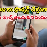 వాట్సప్ యూజర్స్‌కు అలర్ట్.. ఫార్వర్డ్ మెసేజ్‌లపై ఈ లేబుల్ కనిపిస్తే వెంటనే అలర్ట్ అవ్వండి!