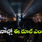 విమానం టేకాఫ్ ముందు లైట్లు ఆపేస్తారు.. ఎందుకో తెలుసా?