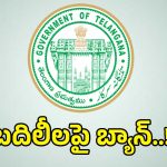 ఉద్యోగుల బదిలీలపై మళ్లీ బ్రేక్.. ఆరు నెలల దాకా అస్సలు కుదరదన్న సర్కార్!