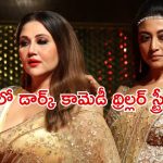 బార్‌లో మద్యం తాగుతూ భార్యలు చేసే రచ్చ… ఏ ఓటీటీలో ఉందంటే ?