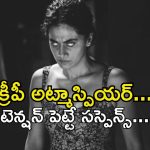 ట్విన్ సిస్టర్ చావు వెనకున్న సీక్రెట్… సైకోకు చుక్కలు చూపించే చూపులేని అమ్మాయి